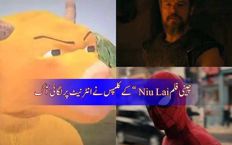 کم بجٹ چینی فلم کا بڑا کمال،  نیو لائی اچانک کیوں بن گئی انٹرنیٹ کی پسند